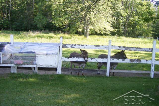 7420 North Gleaner Road Freeland, MI 48623 - Photo 2 of 14 20042295-1.JPG