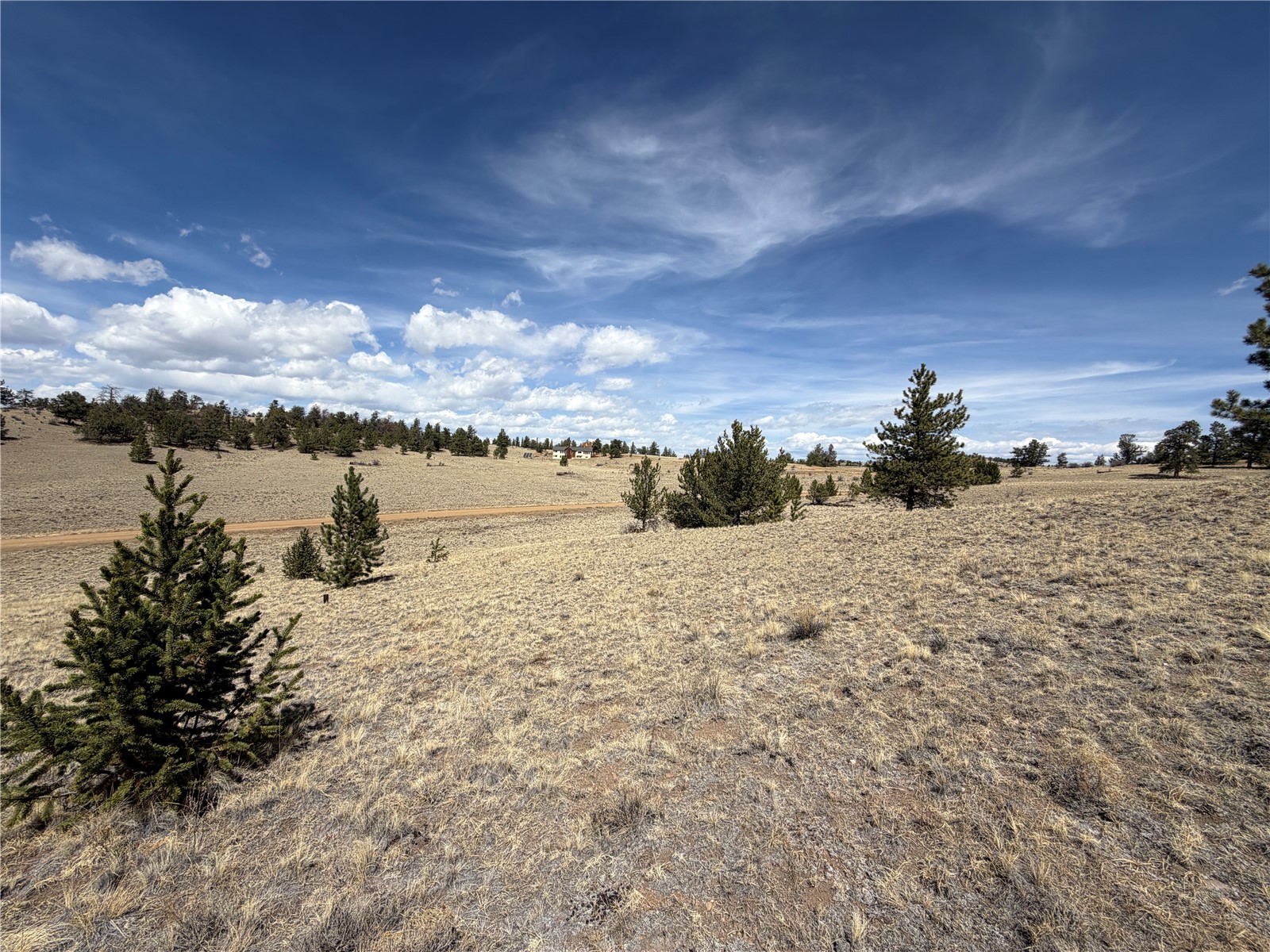 2839 Fitzsimmons Road Hartsel, CO 80449 - Photo 12 of 25 a view of a lake with a beach