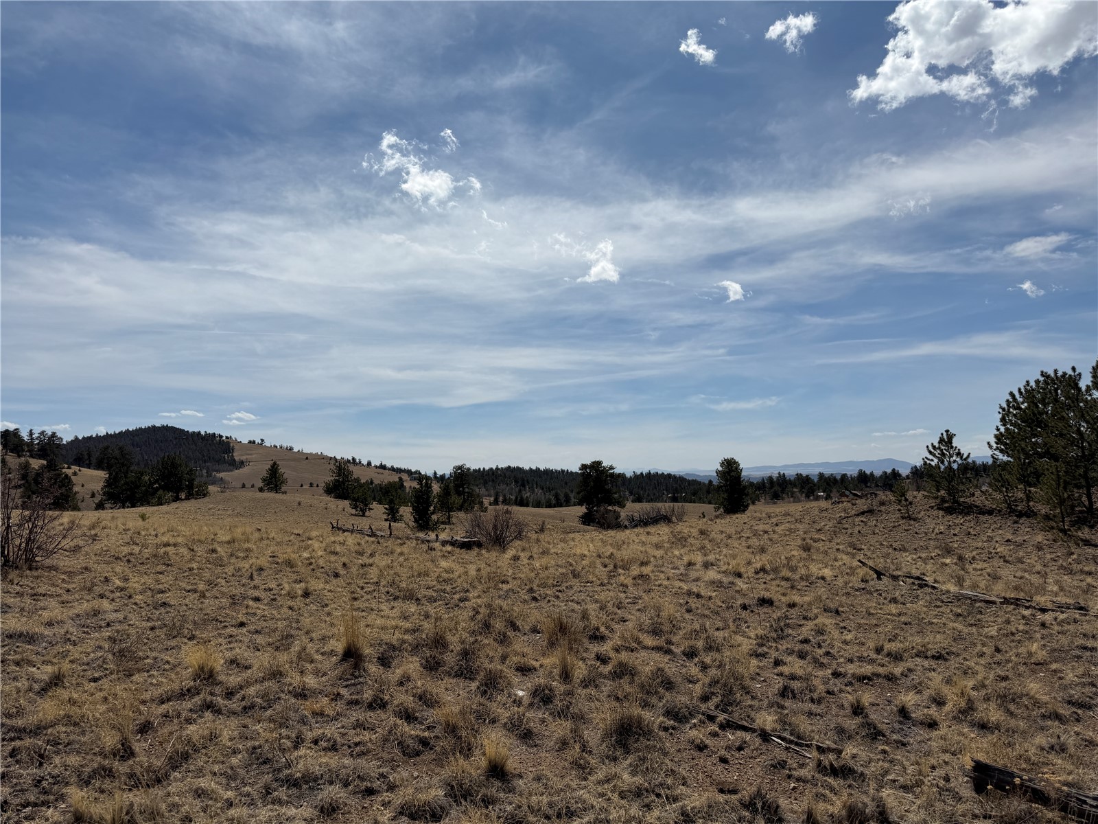 2839 Fitzsimmons Road Hartsel, CO 80449 - Photo 13 of 25 a view of a sky