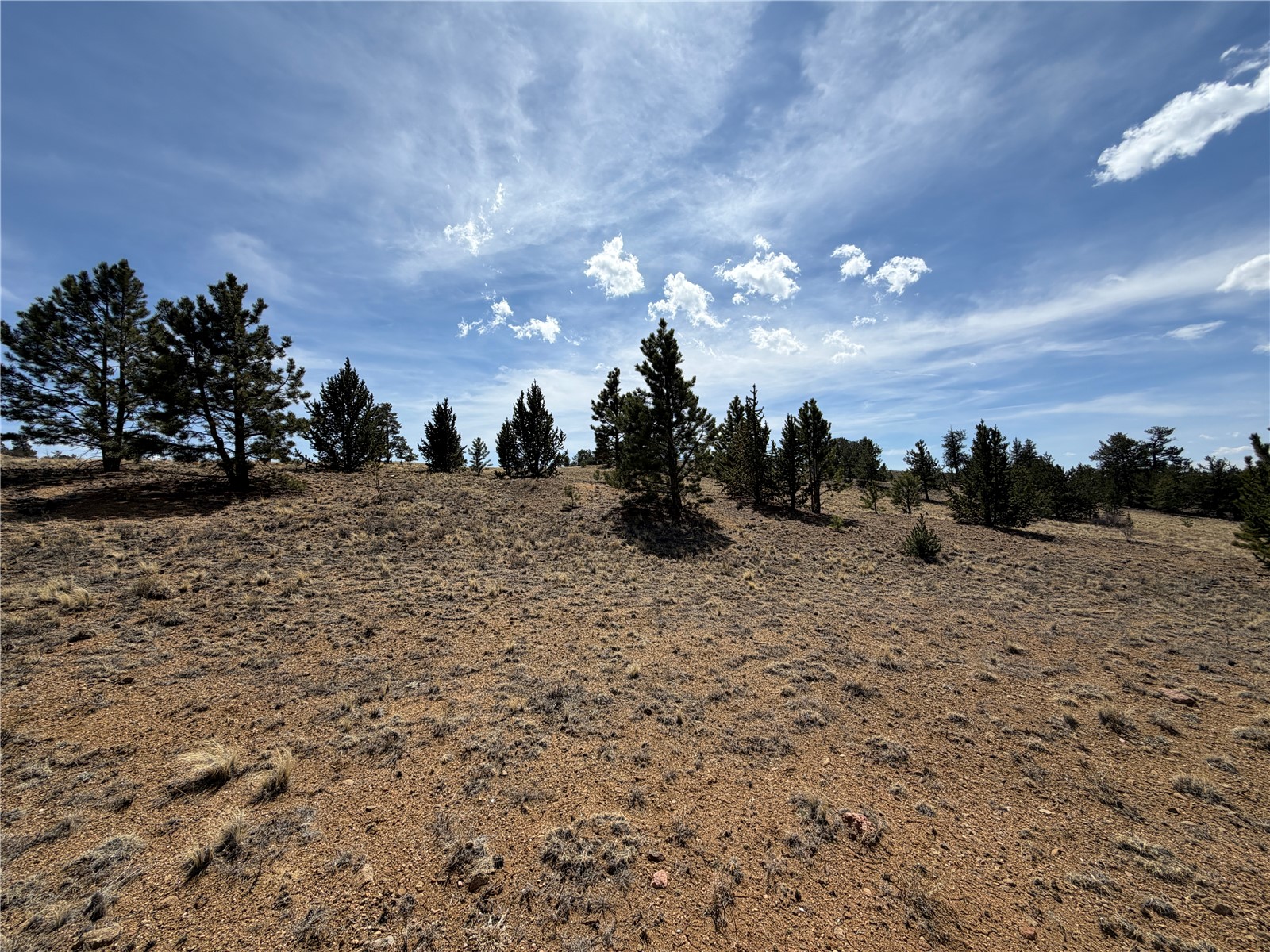 2839 Fitzsimmons Road Hartsel, CO 80449 - Photo 2 of 25 a view of outdoor space and tree in the background