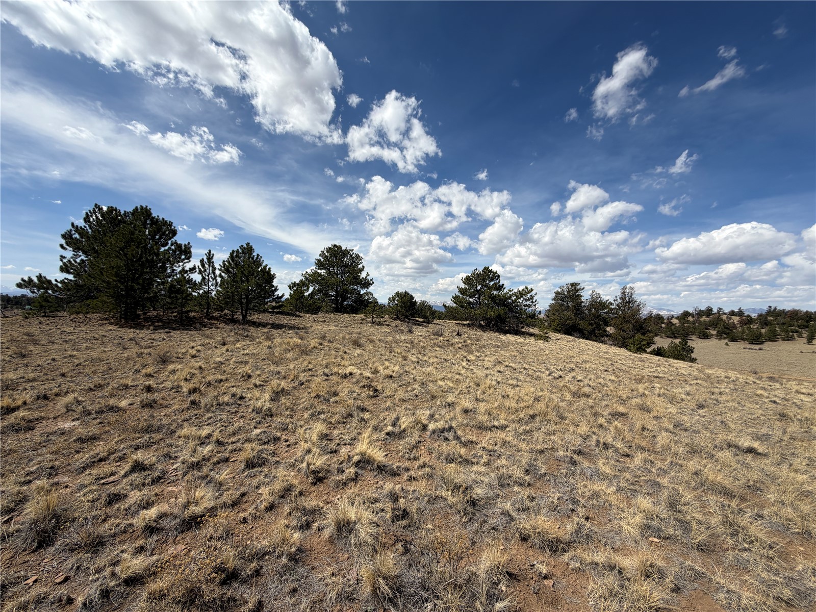 2839 Fitzsimmons Road Hartsel, CO 80449 - Photo 21 of 25