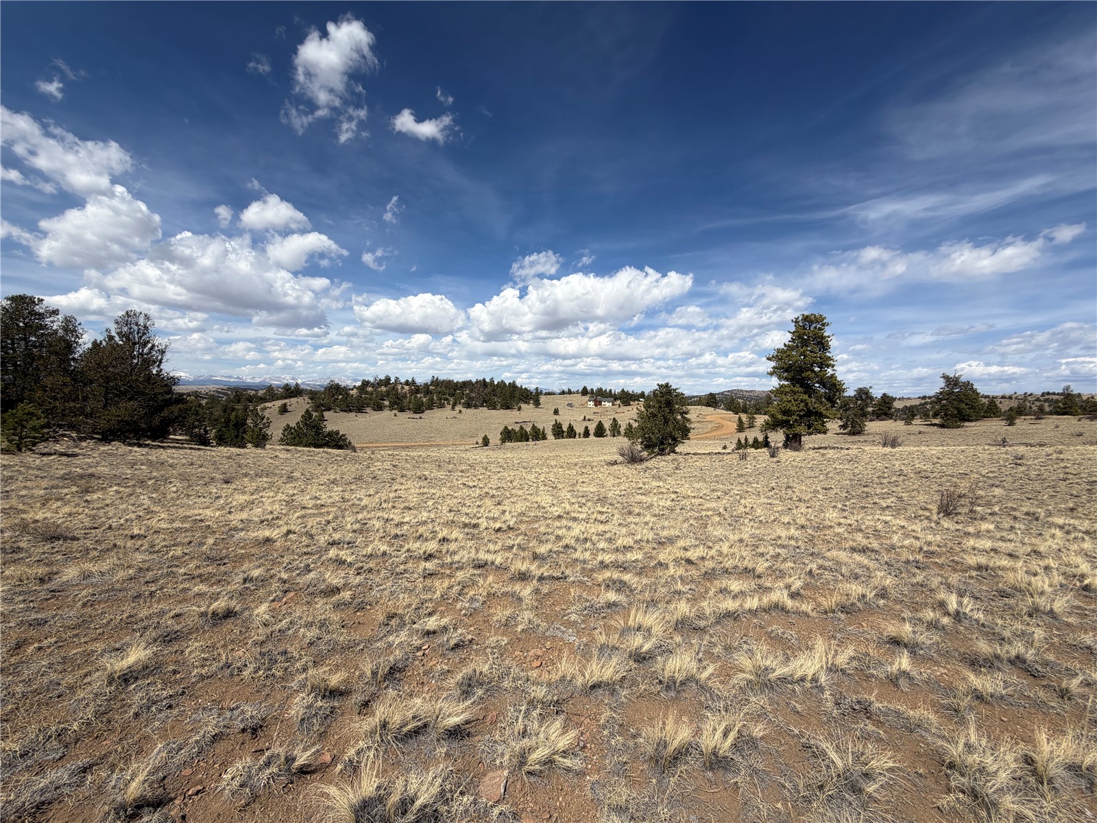 2839 Fitzsimmons Road Hartsel, CO 80449 - Photo 24 of 25 a view of lake