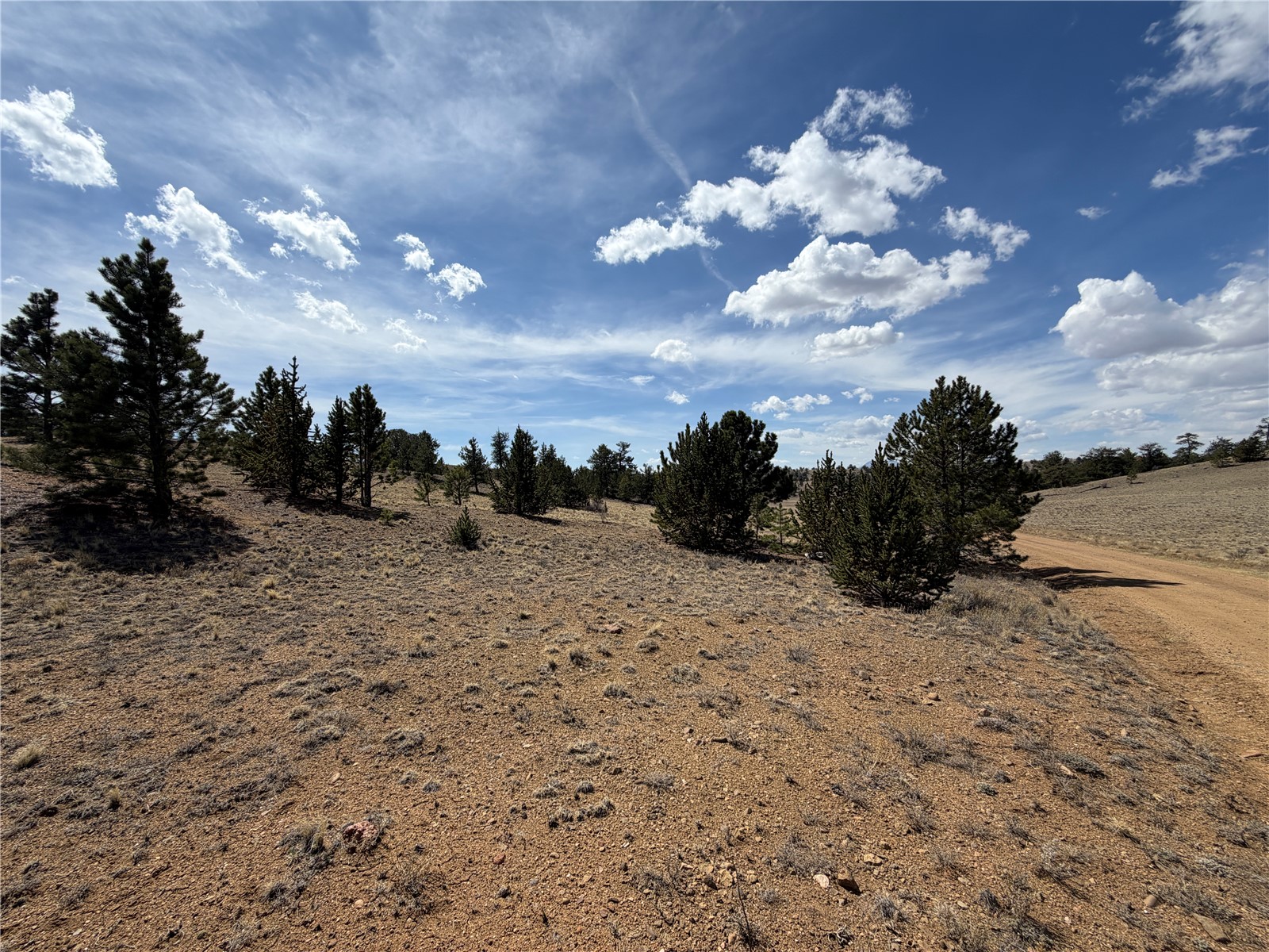 2839 Fitzsimmons Road Hartsel, CO 80449 - Photo 3 of 25 a view of a sky