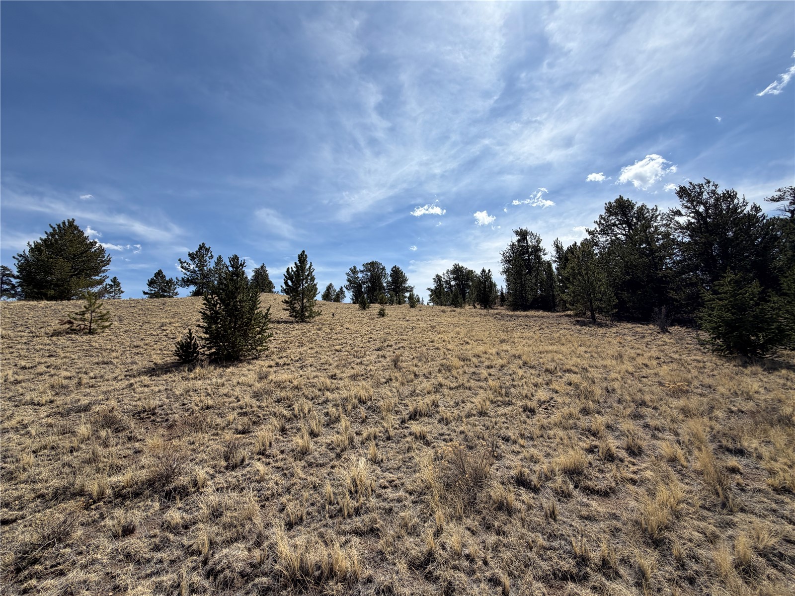 2839 Fitzsimmons Road Hartsel, CO 80449 - Photo 5 of 25 a view of a covered with snow on the road