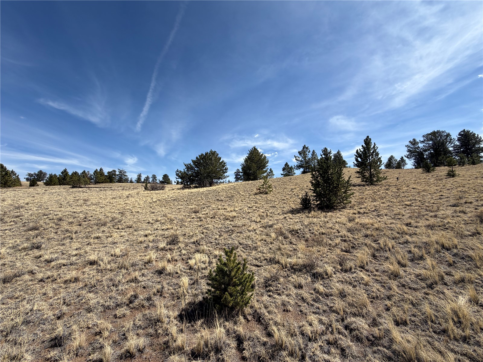 2839 Fitzsimmons Road Hartsel, CO 80449 - Photo 6 of 25 a view of ocean