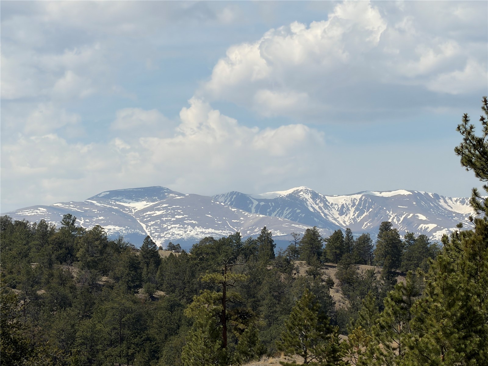2839 Fitzsimmons Road Hartsel, CO 80449 - Photo 8 of 25