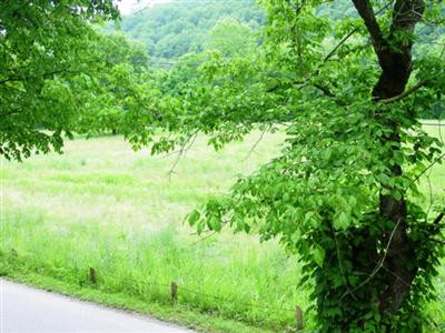 9760 Camp Daniel Boone Road Lexington, KY 40515 - Photo 4 of 12 Photo 4