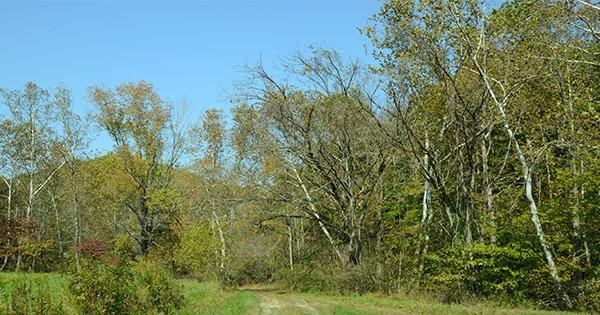 1 Anderson Branch Road Stanton, KY 40380 - Photo 10 of 27 Photo 10