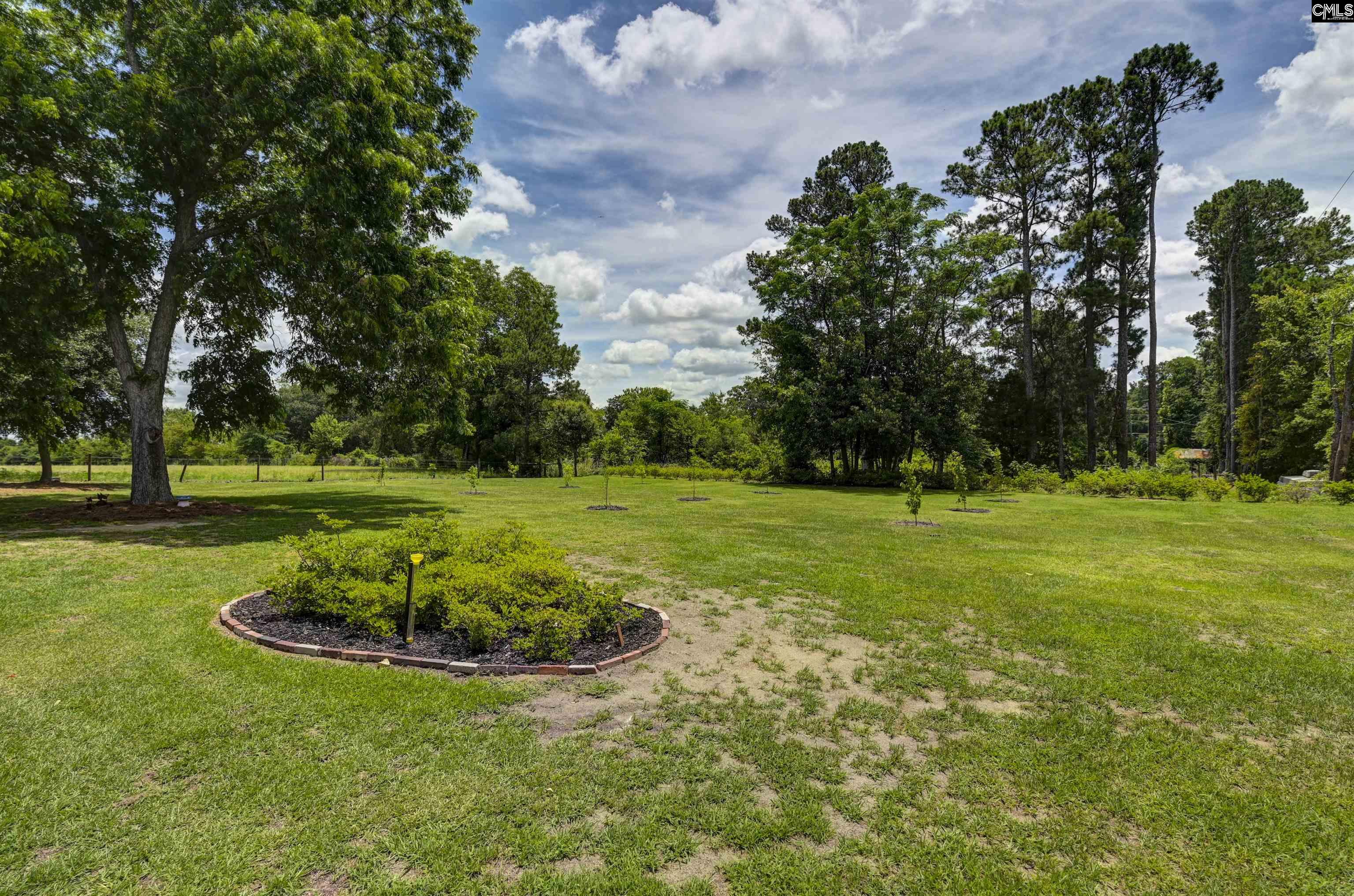 204 State Rd S-32-955 Leesville, SC 29070 - Photo 42 of 65