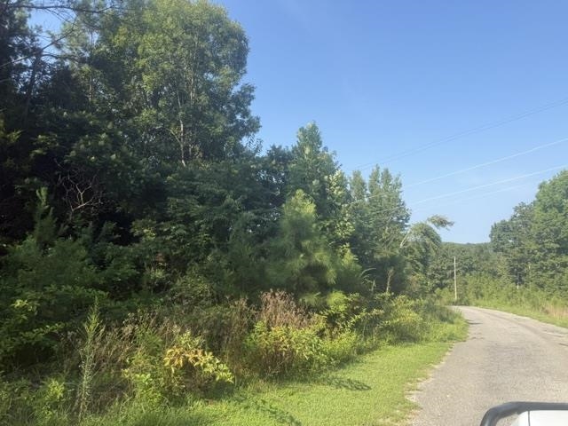 3 Carroll Hollow Road Waynesboro, TN 38485 - Photo 7 of 25 Gallery Image 7