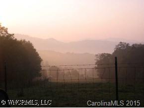 750 Rice Cove Road Canton, NC 28716 - Photo 3 of 9 a view of a terrace