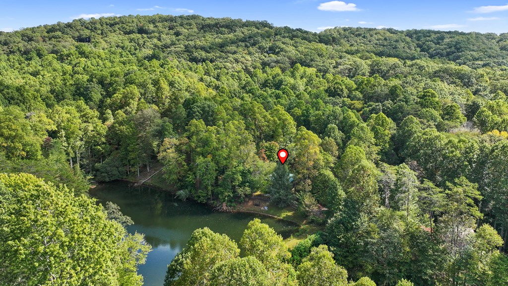 264 Tipton Gap Road Blue Ridge, GA 30513 - Photo 5 of 35