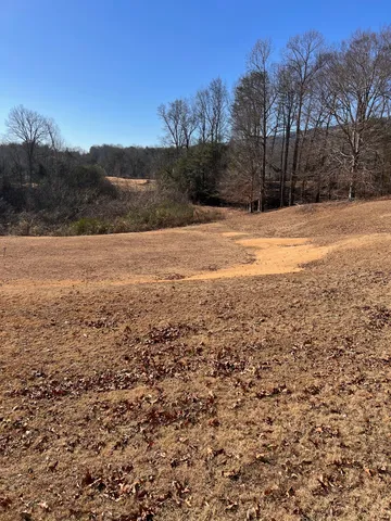 a view of road with large trees