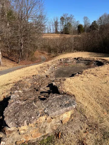 a view of outdoor space and trees
