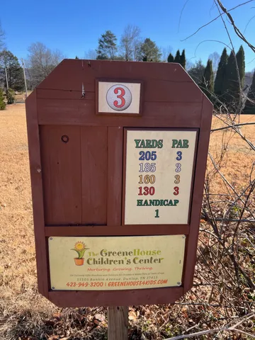a view of large yard with a large tree