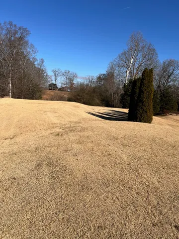 a view of an ocean beach