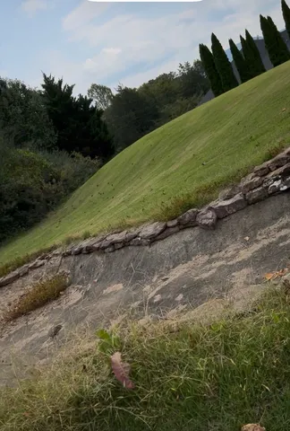 a view of a road with a yard