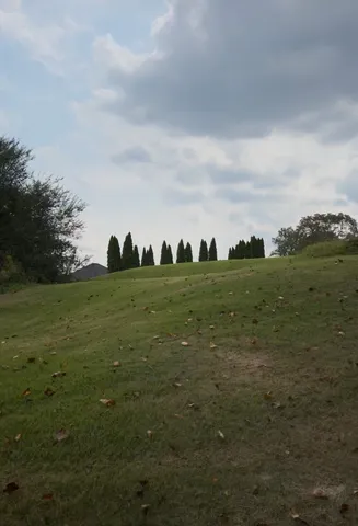 a view of a field with an trees in front of it
