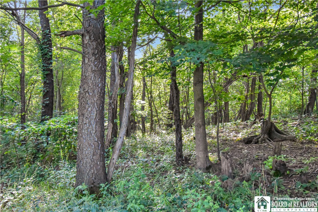 7883 Thayer Road Portland, NY 14769 - Photo 5 of 34 Gallery Image 5