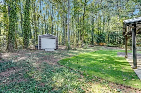 a view of a park with large trees