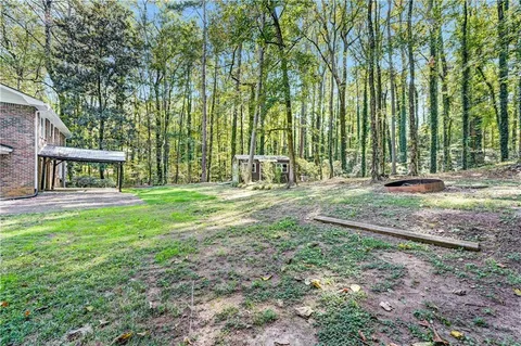 a view of a yard with plants and large trees