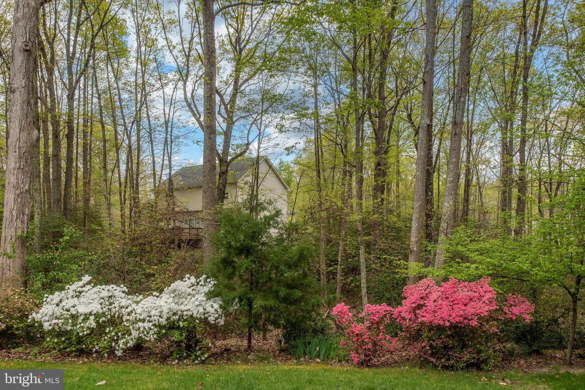 12428 Ripon Court King George, VA 22485 - Photo 42 of 52 Gallery Image 42