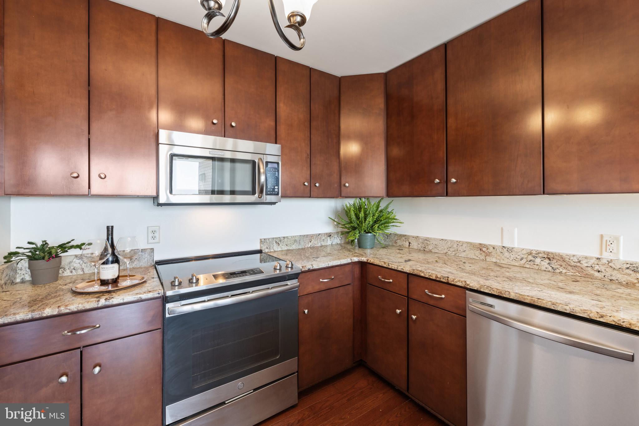 100 Harborview Drive, Unit 910 Baltimore, MD 21230 - Photo 8 of 44 Kitchen with upgraded materials