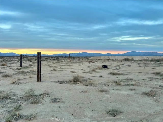 a view of a dry yard