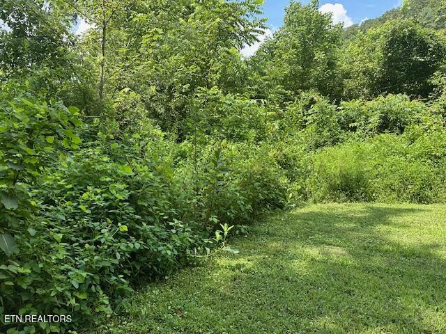 100 Knot Hole Left Road Arjay, KY 40902 - Photo 1 of 14 IMG_0562