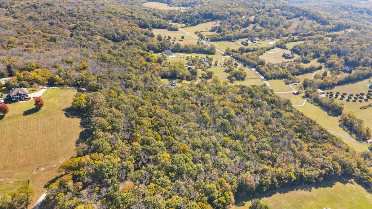 0 Beulah Church Road Arrington, TN 37014 - Photo 7 of 10 Gallery Image 7
