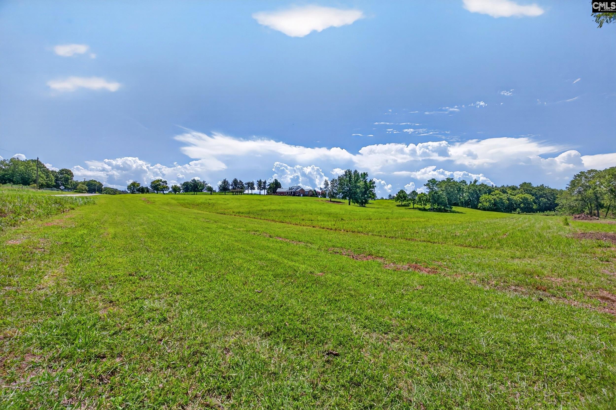 8459 St Lukes Church Road Newberry, SC 29108 - Photo 95 of 97 Gallery Image 95