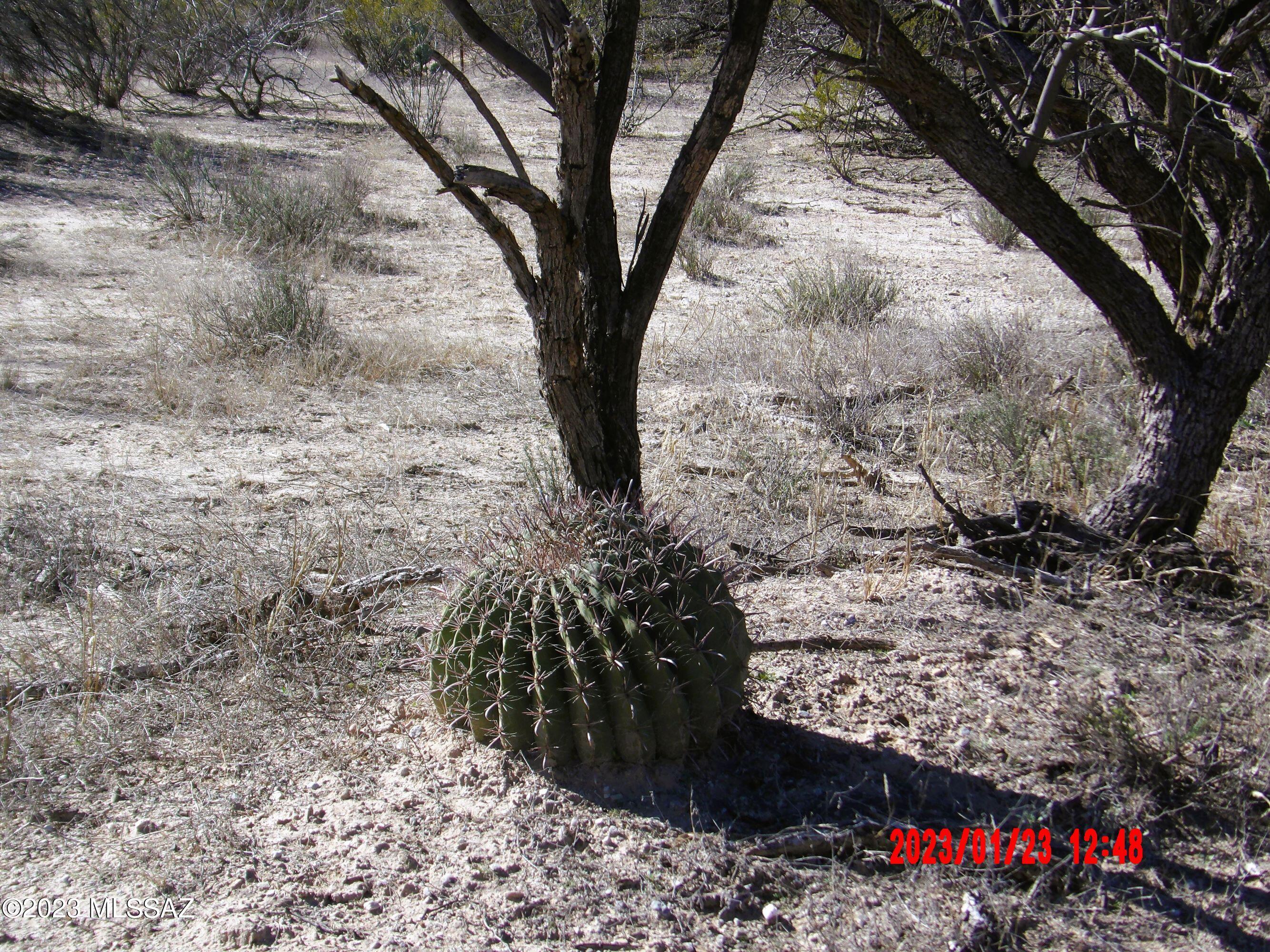 16160 Redington Road Benson, AZ 85602 - Photo 19 of 29 Gallery Image 19