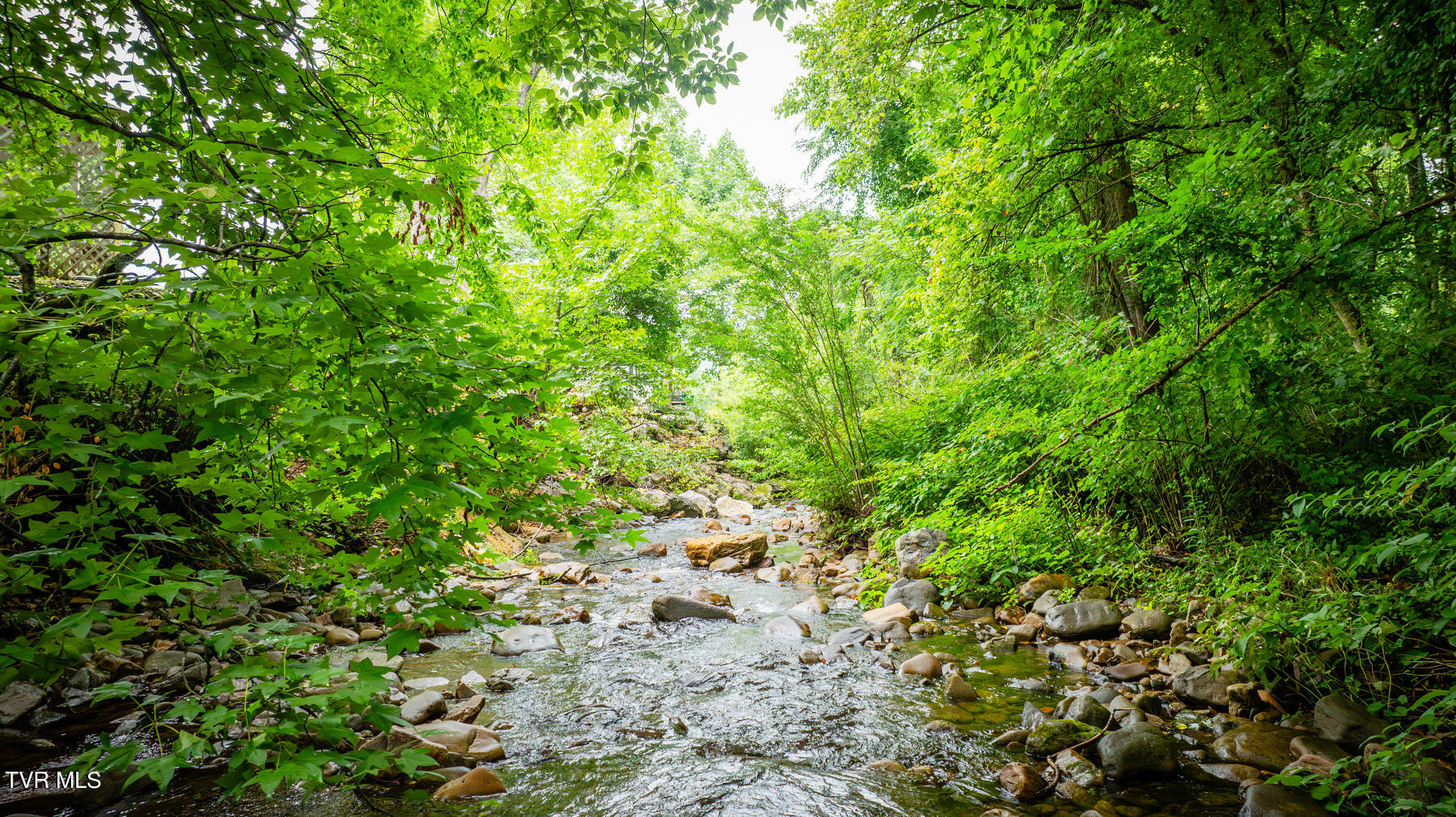 175 Witcher Lane Erwin, TN 37650 - Photo 3 of 41 Sitting on the Beautiful Rock Creek