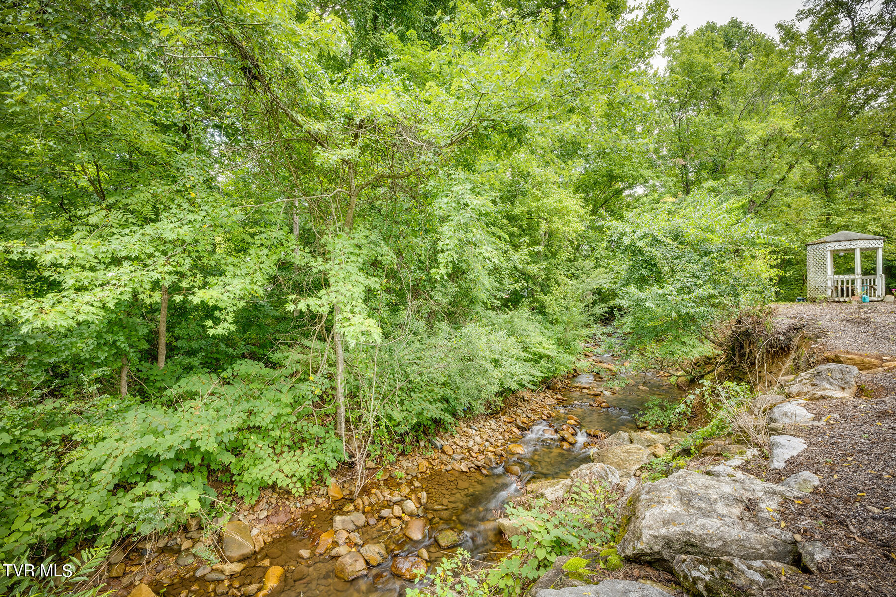 175 Witcher Lane Erwin, TN 37650 - Photo 32 of 41 Beautiful Creek