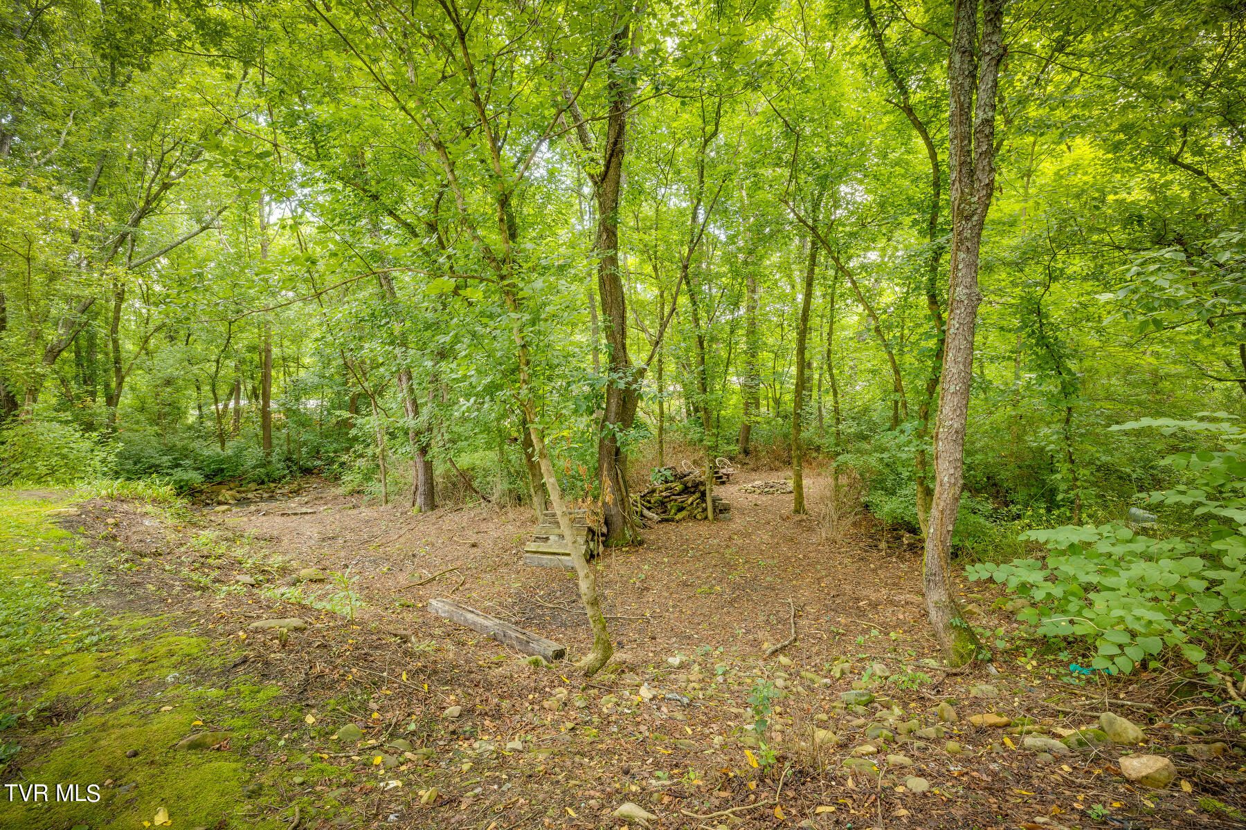 175 Witcher Lane Erwin, TN 37650 - Photo 35 of 41 Serene Surroundings