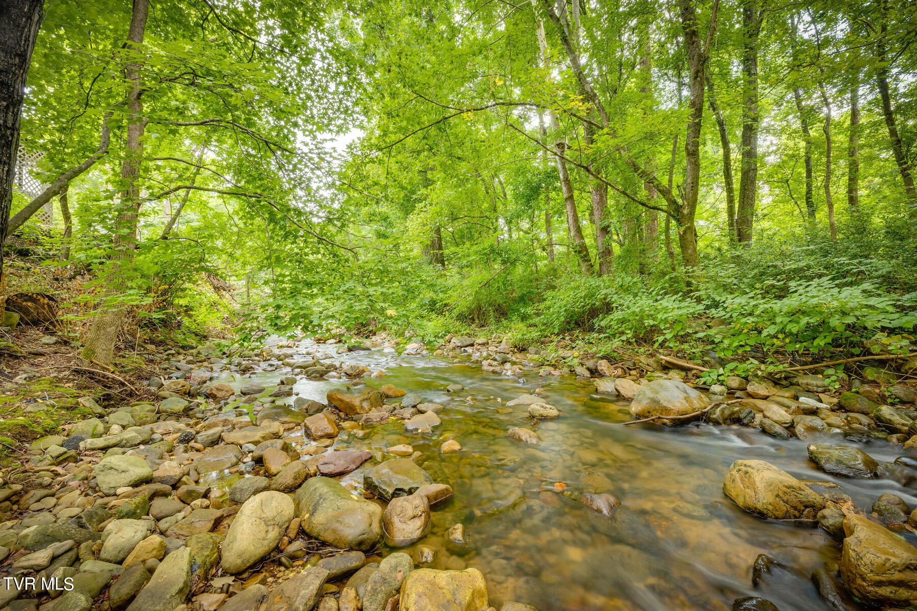175 Witcher Lane Erwin, TN 37650 - Photo 36 of 41 Great Trout Fishing Spot