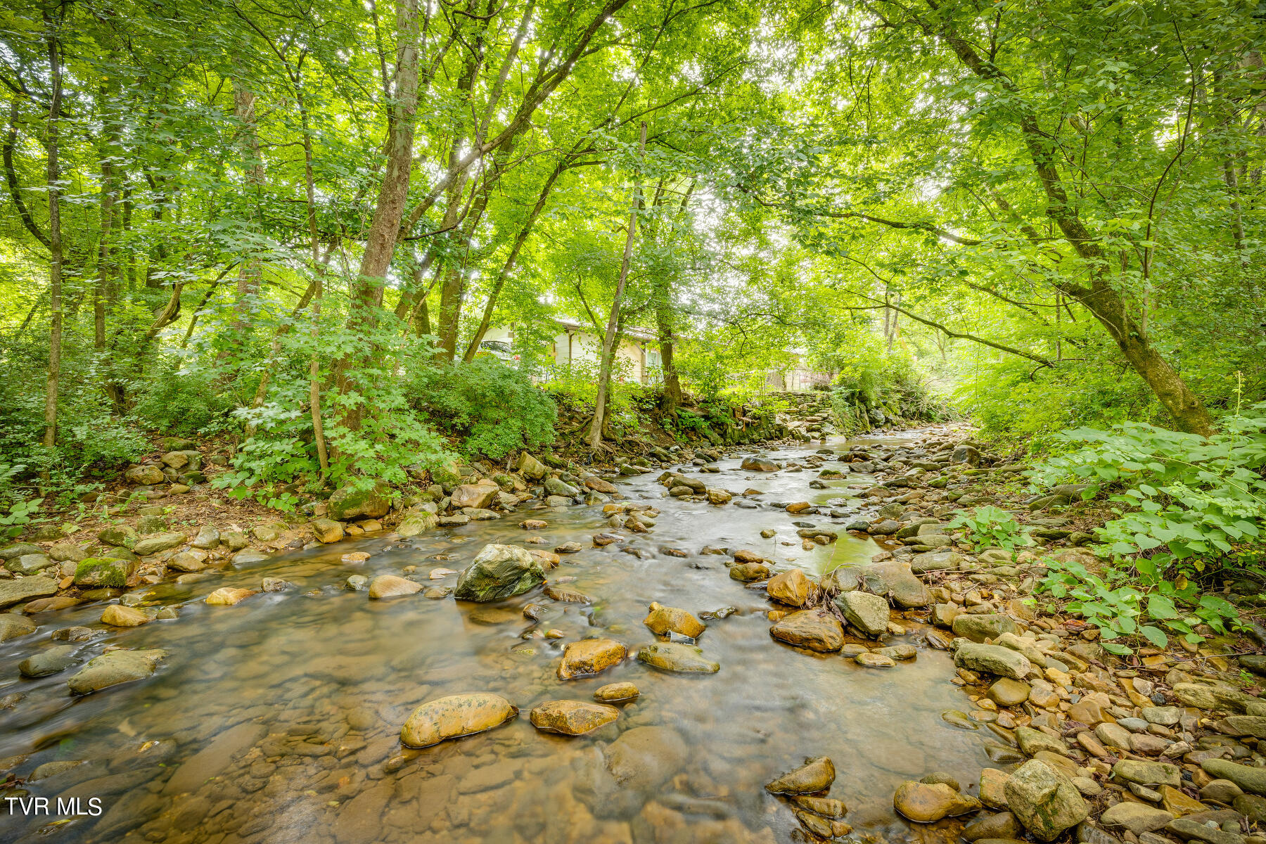 175 Witcher Lane Erwin, TN 37650 - Photo 37 of 41 Great Trout Fishing Spot