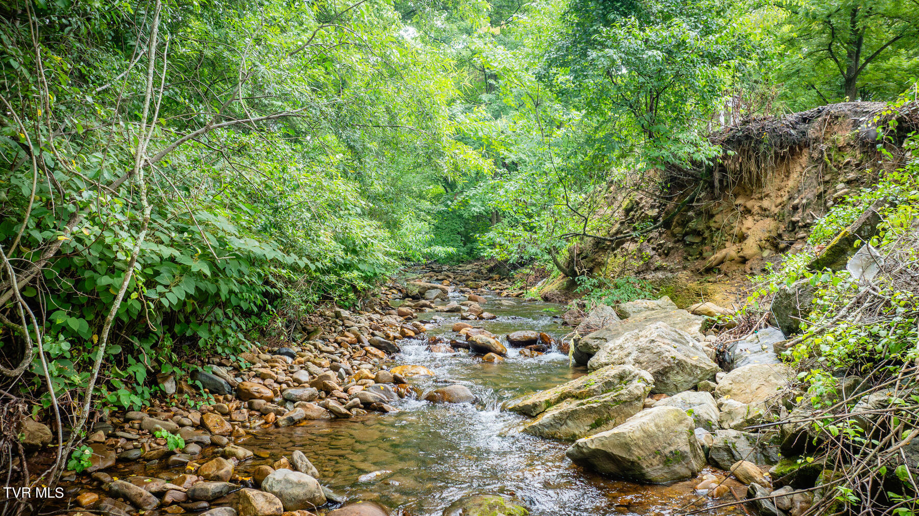 175 Witcher Lane Erwin, TN 37650 - Photo 38 of 41 Rock Creek