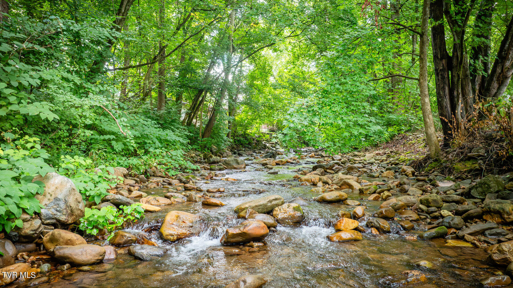 175 Witcher Lane Erwin, TN 37650 - Photo 39 of 41 Rock Creek