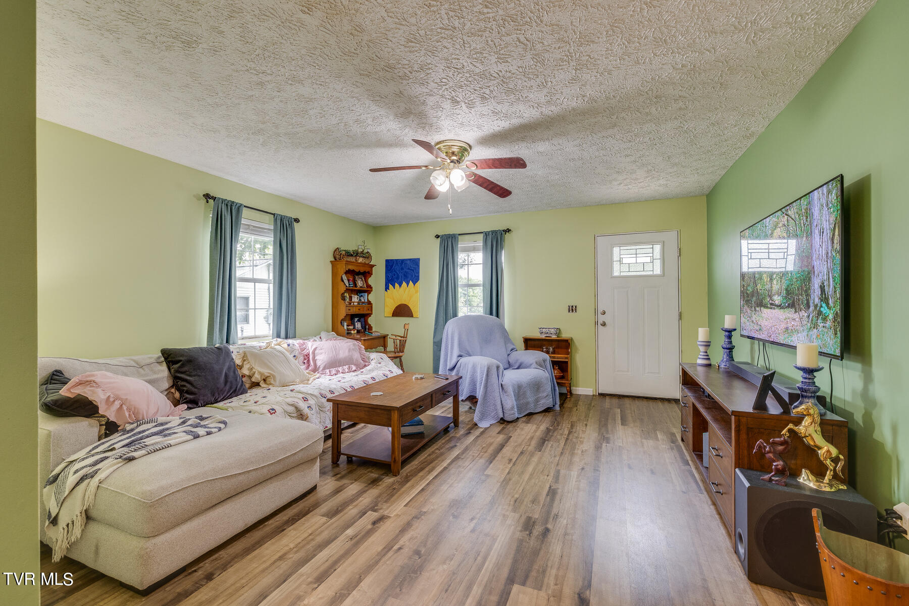 175 Witcher Lane Erwin, TN 37650 - Photo 9 of 41 Living Area
