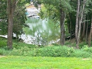 a backyard of a house with lots of green space and fountain