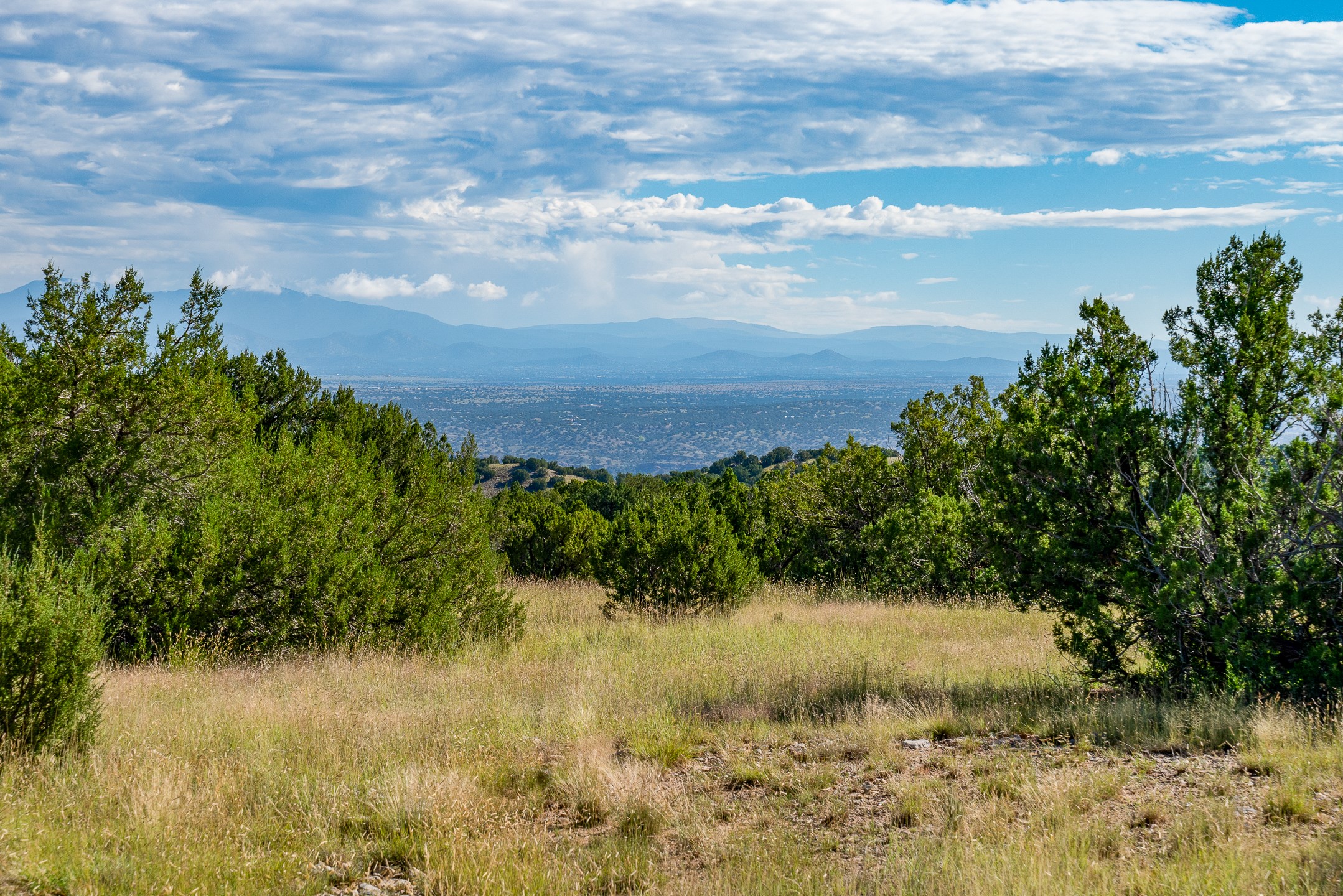 95 Grenfell Ranch Road Cerrillos, NM 87010 - Photo 4 of 47