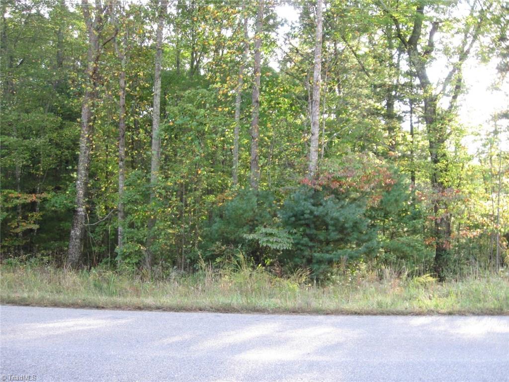 0 Via Orchard Road Patrick Springs, VA 24133 - Photo 2 of 5