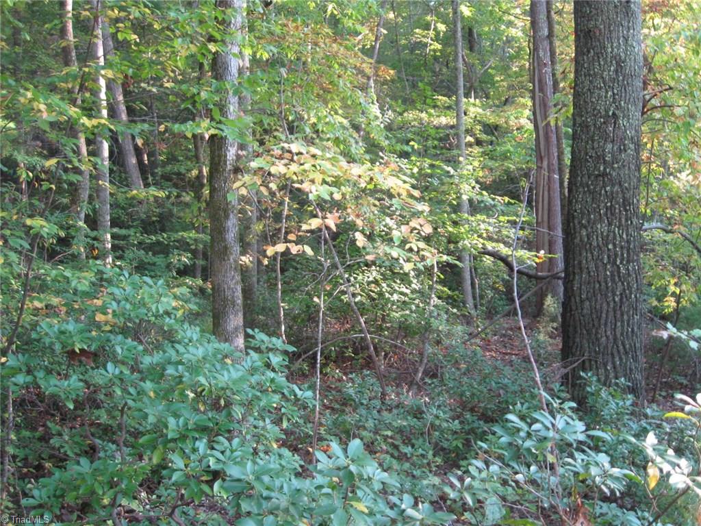 0 Via Orchard Road Patrick Springs, VA 24133 - Photo 4 of 5