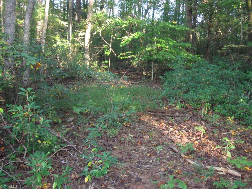 0 Via Orchard Road Patrick Springs, VA 24133 - Photo 5 of 5