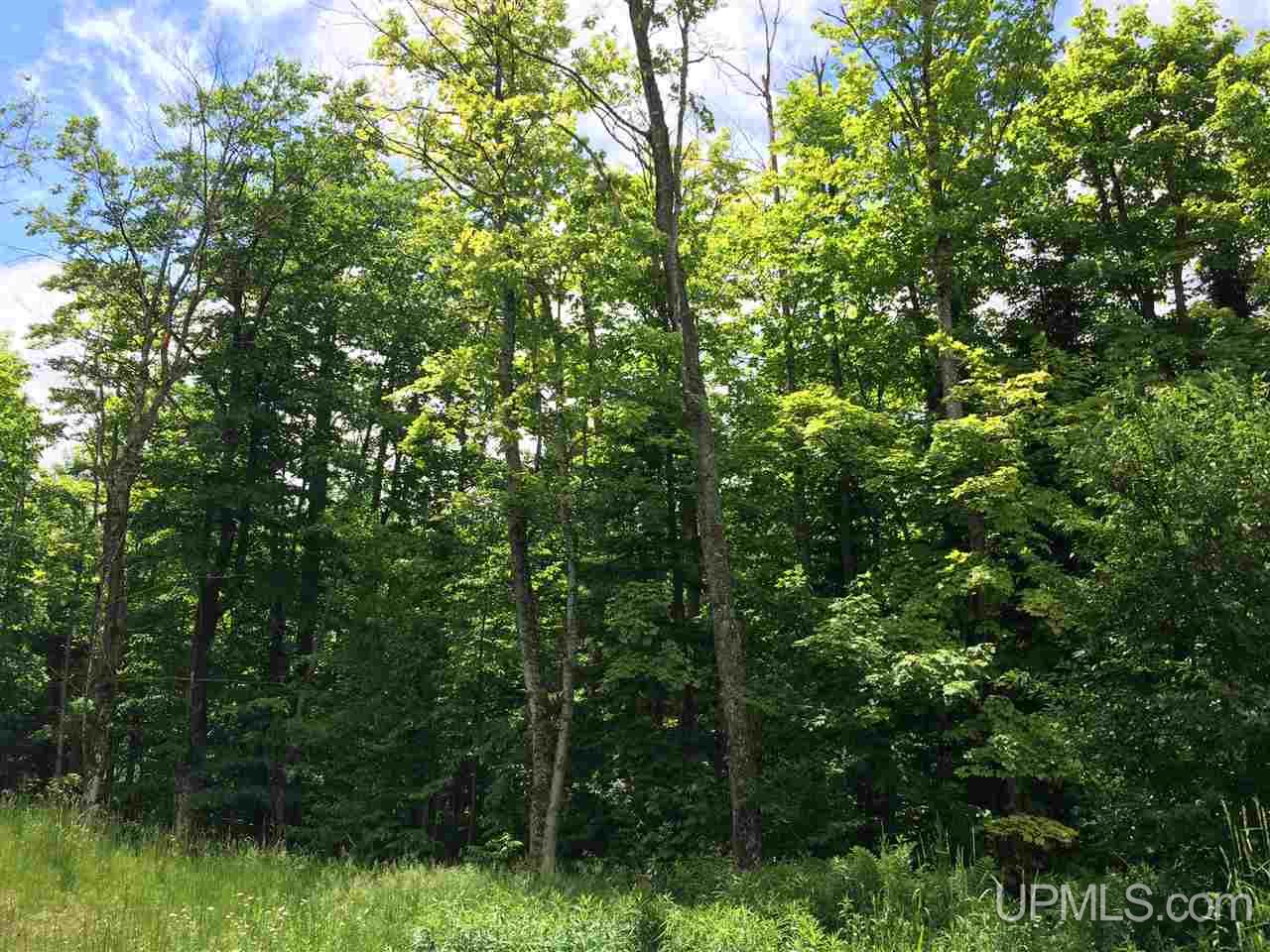 245 Maple Grove Road Skandia, MI 49885 - Photo 13 of 14
