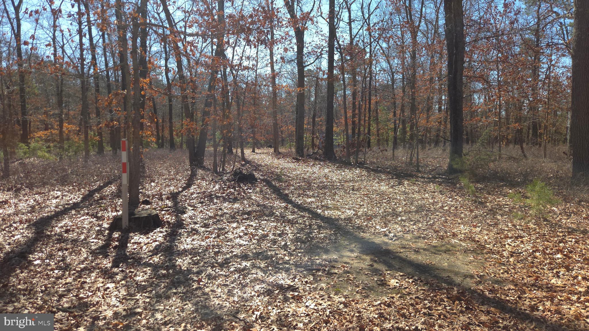 1910 Winslow Road Williamstown, NJ 08094 - Photo 25 of 29