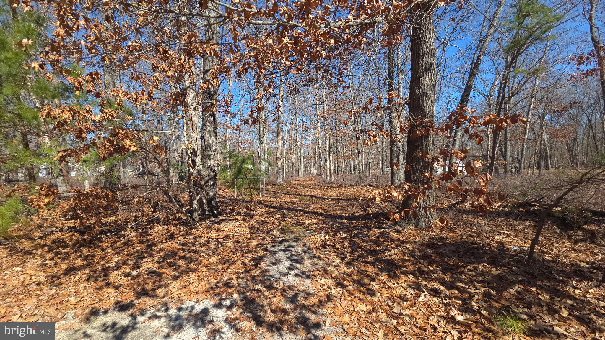 1910 Winslow Road Williamstown, NJ 08094 - Photo 27 of 29