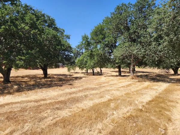 a view of outdoor space with trees