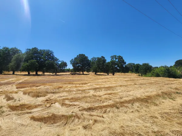 a view of outdoor space and trees